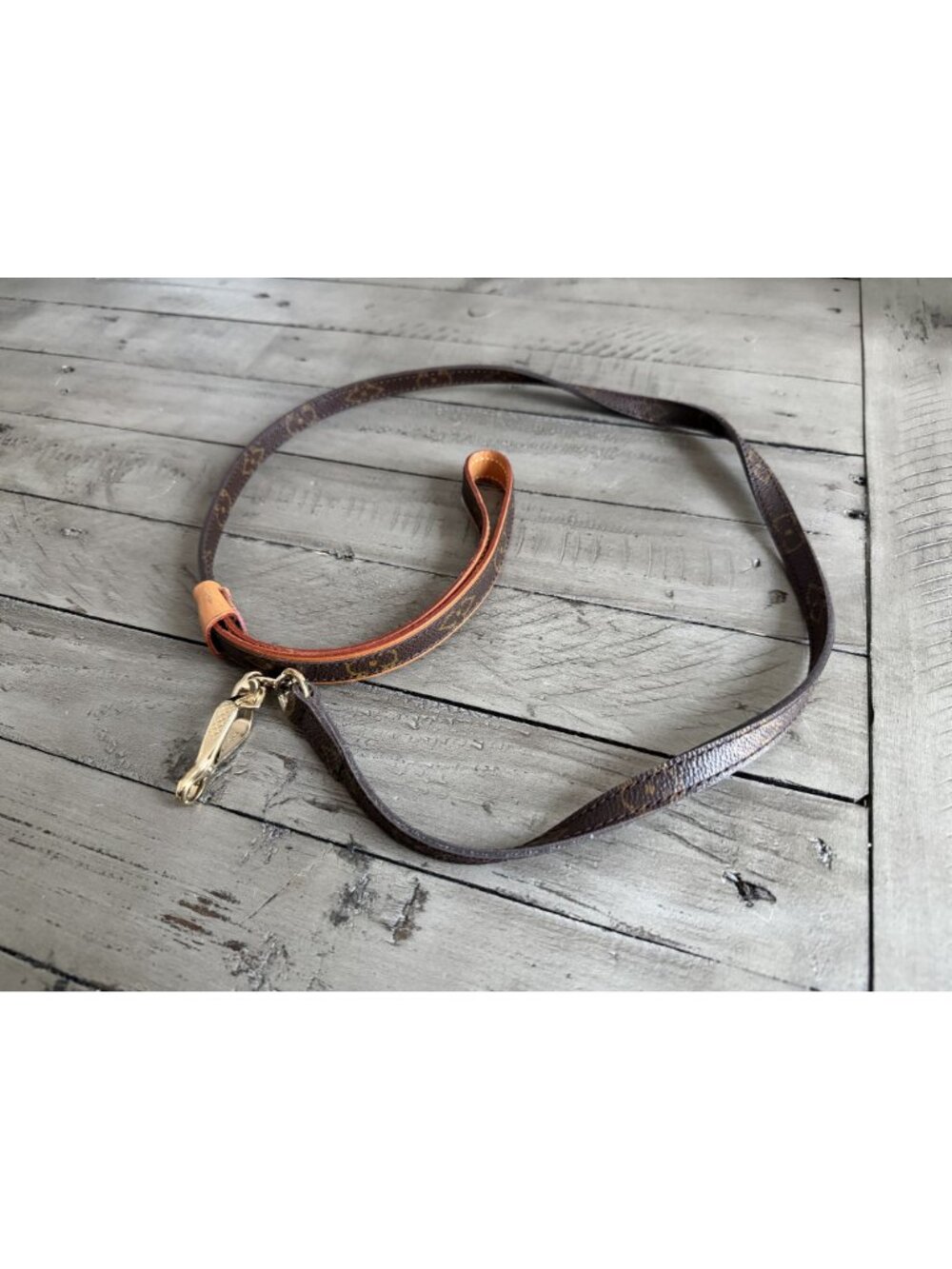 LOUIS VUITTON Baxter PM Dog Collar & Leash Small dog - Picture 6 of 8